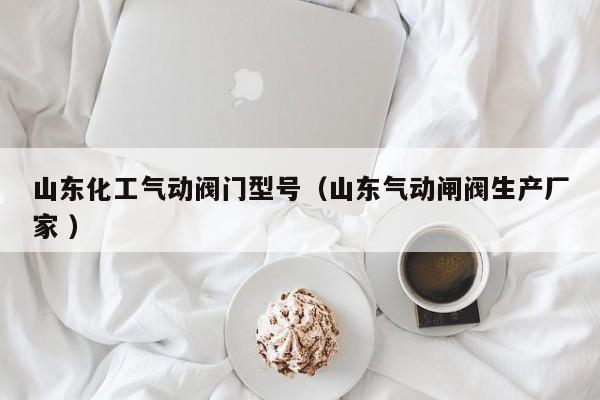 山东化工气动阀门型号（山东气动闸阀生产厂家 ）