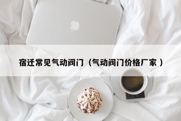 宿迁常见气动阀门（气动阀门价格厂家 ）