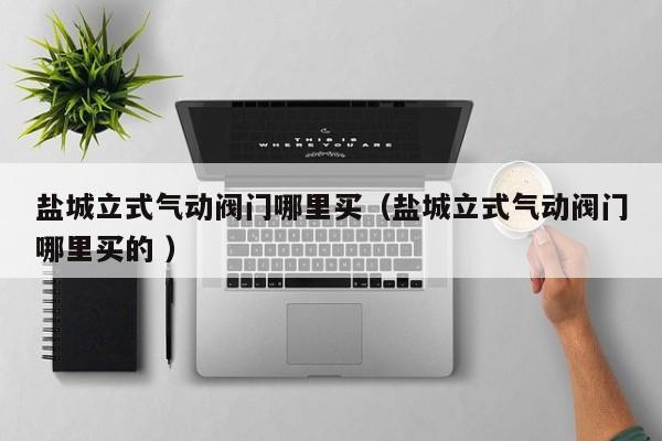 盐城立式气动阀门哪里买（盐城立式气动阀门哪里买的 ）